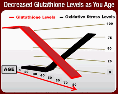 Decreased Glutathione Levels as You Age CHART